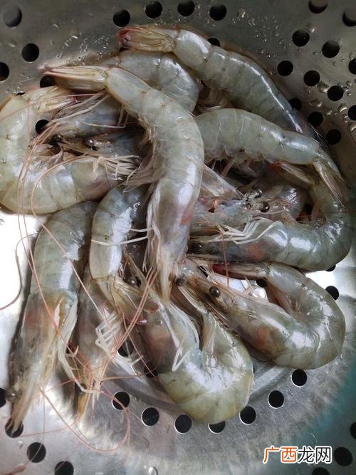虾的盐度和温度 对虾的养殖盐度是多少