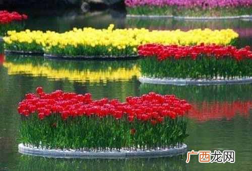 现在农村干什么赚钱（这6个低投资赚钱小项目必
