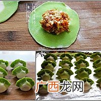 双色白菜猪肉饺子 翡翠白菜水饺