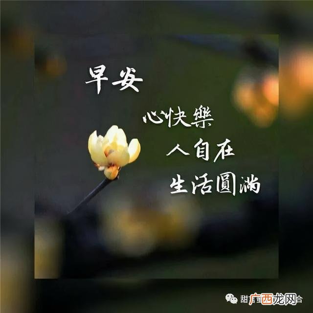 关于早安的情话 00后早安语录