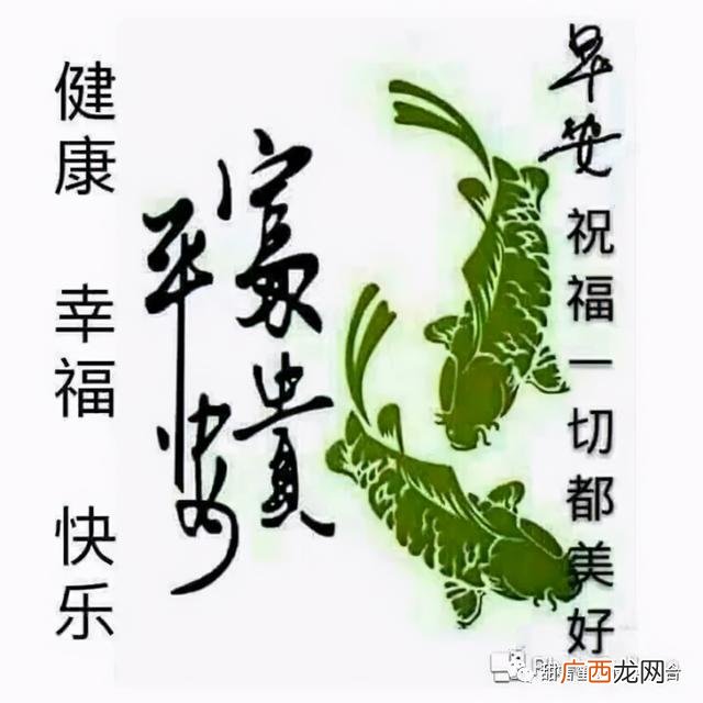 关于早安的情话 00后早安语录