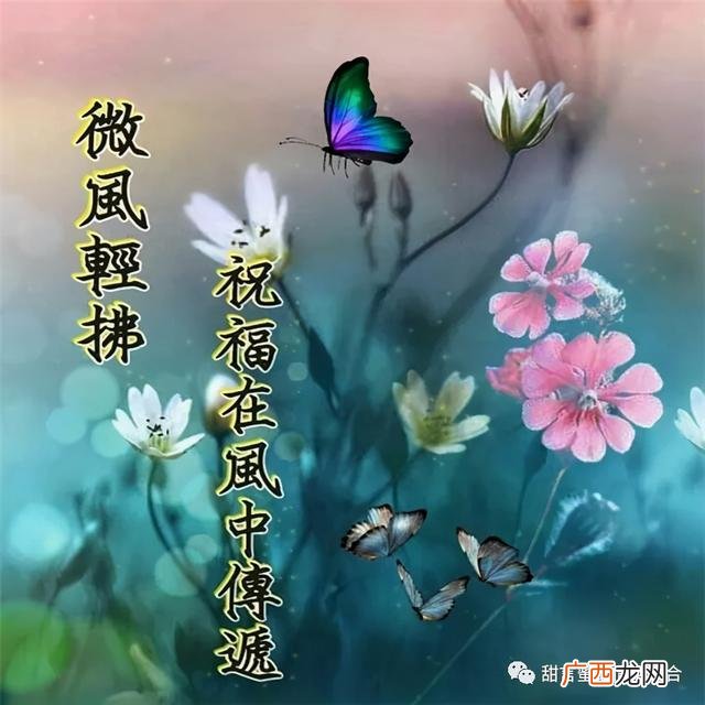 关于早安的情话 00后早安语录