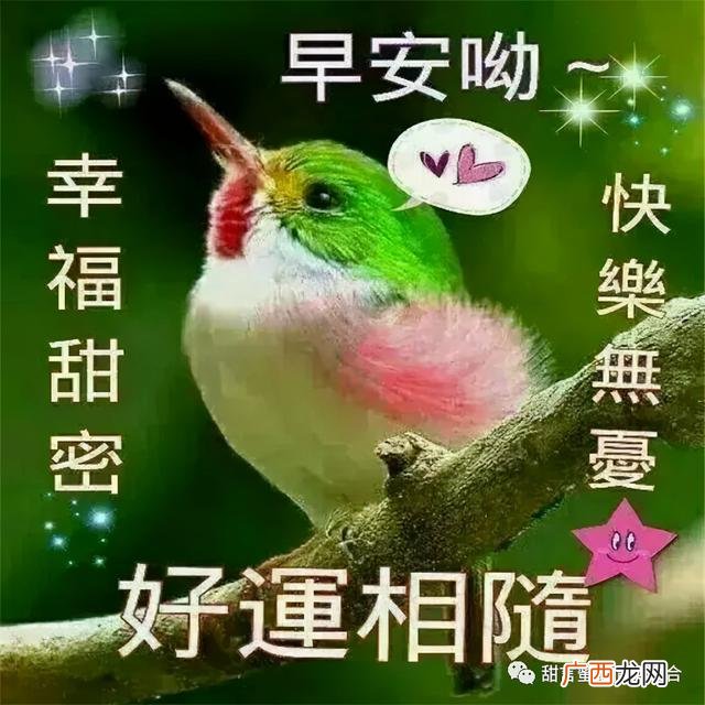 关于早安的情话 00后早安语录