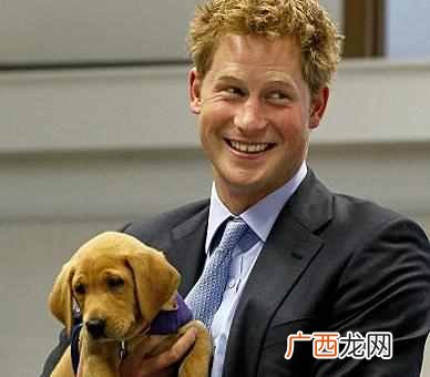 英国现在的王室成员是哪些（英国王室成员关系