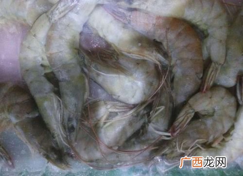 黑虎虾是养殖还是野生的 斑节虾养殖温度
