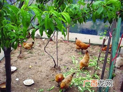 北京养殖场招聘 北京锦城达养殖