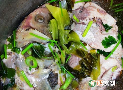 白鲢鱼去刺视频 白鲢鱼养殖视频
