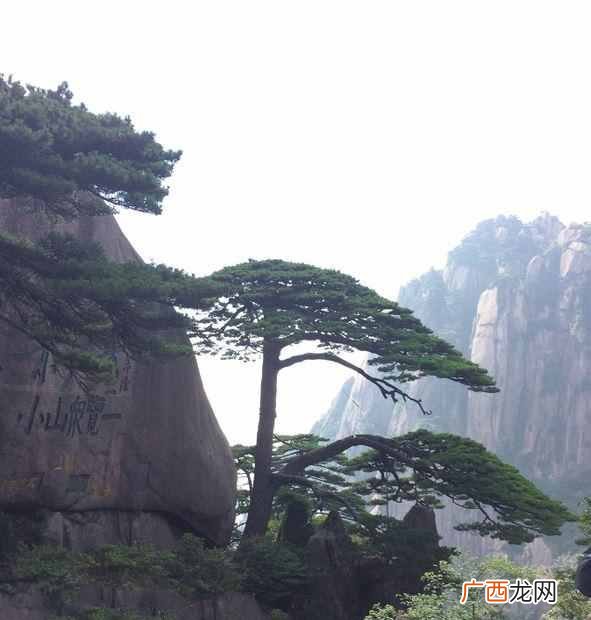 门店经营有哪些窍门 为什么不能超门店经营