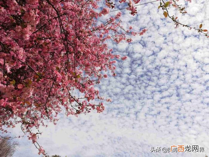 泰戈尔写给妻子的一首经典情诗 写给老婆的一句话