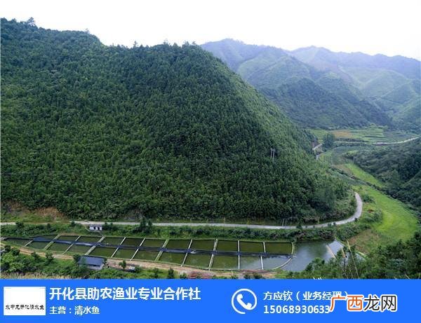 鱼类养殖 高山清水鱼养殖