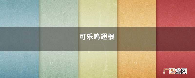 可乐鸡翅根