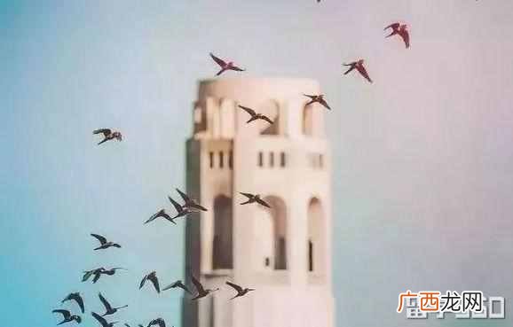 英国留学预科适合哪些人 预科是什么