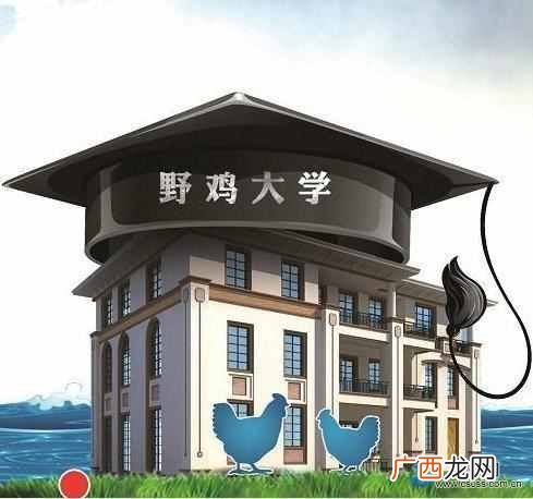 野鸡大学是做什么的 什么是野鸡大学
