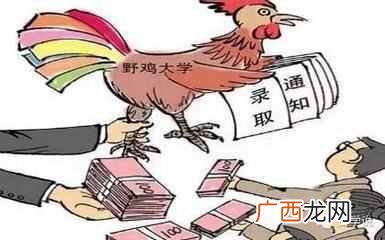 野鸡大学是做什么的 什么是野鸡大学