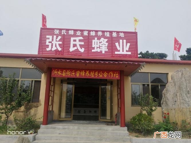 南方中蜂冬季怎样管理 广东养殖中蜂冬季管理