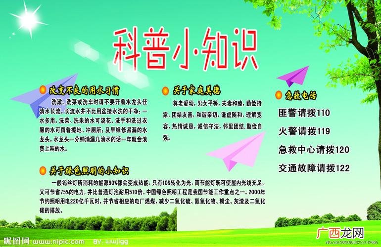 海蛞蝓的繁殖方式 海蛞蝓养殖场