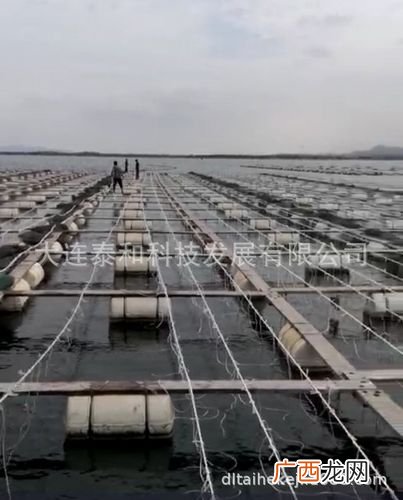 网箱养殖黄鳝技术 海山镇网箱养殖