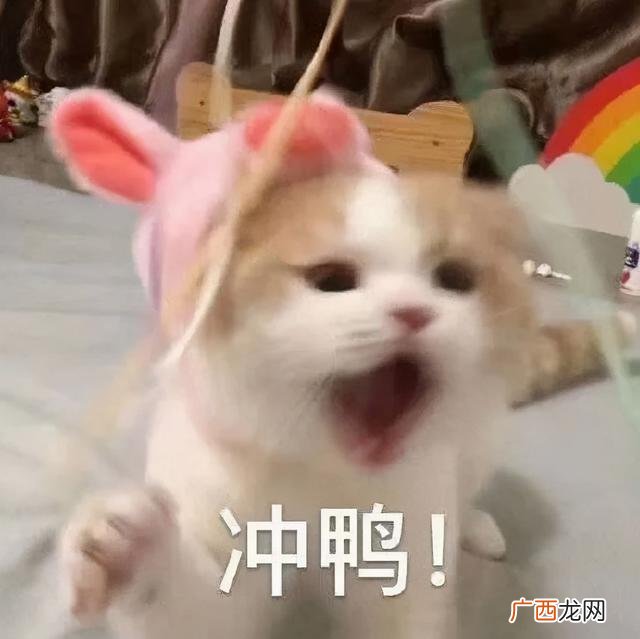 如何开一家小吃店 新手开小吃店怎样成功