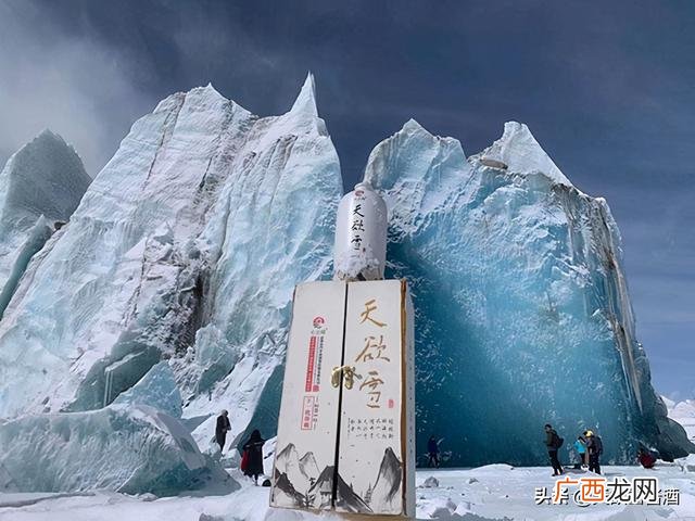 啤酒免费代理0元铺货,啤酒供应商