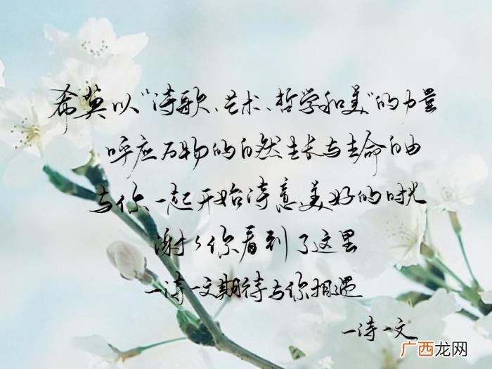 令人惊艳的小诗和句子送给你 星空的句子
