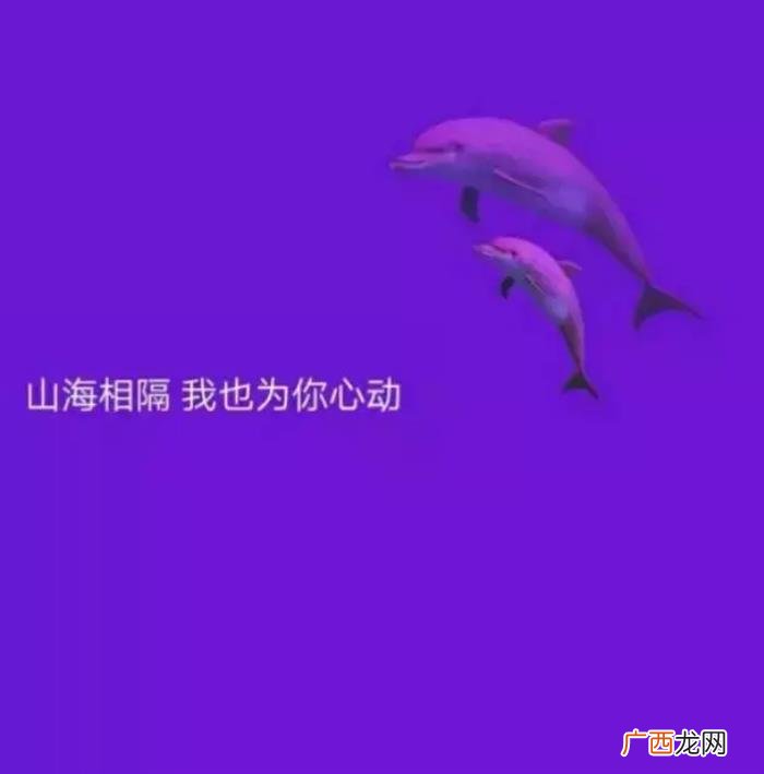 心凉了整个人自然就静了 心凉的图片