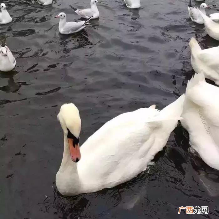心凉了整个人自然就静了 心凉的图片