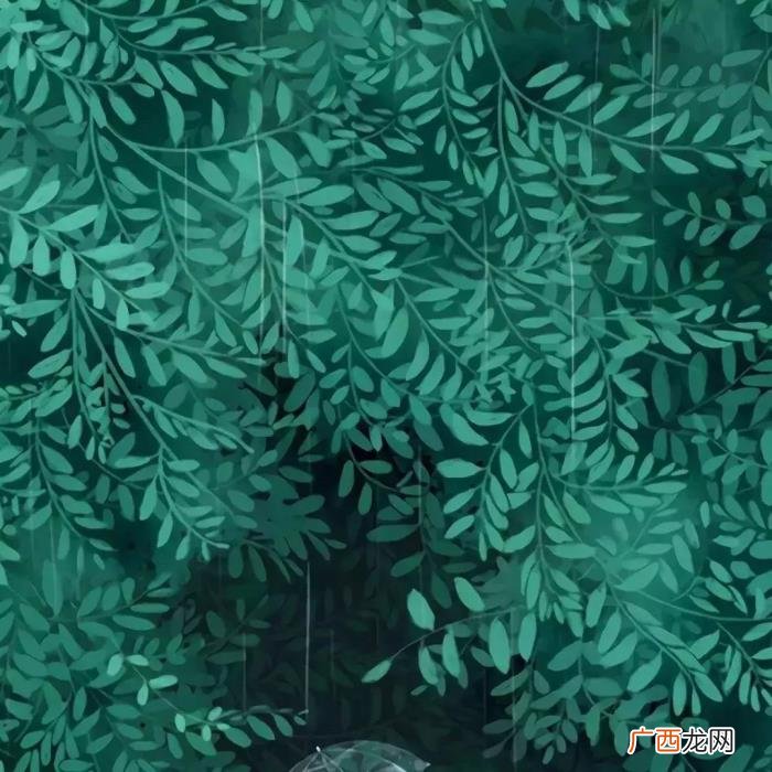 心凉了整个人自然就静了 心凉的图片