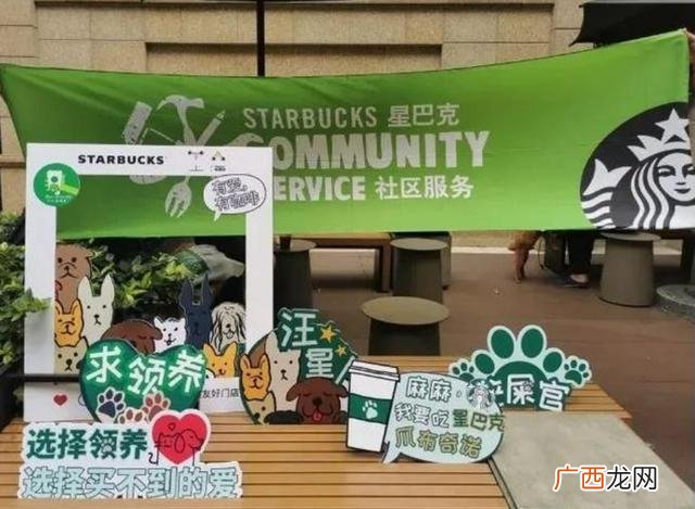 奶茶图片实拍 奶茶狗 图片
