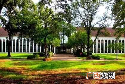 美国休斯顿大学世界排名第几（美国休斯顿大学