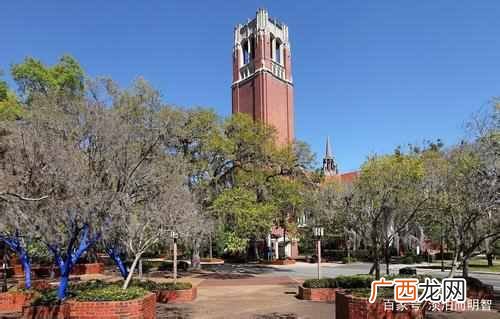 美国佛罗里达大学世界排名第几（佛罗里达大学