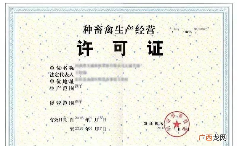 胡蜂养殖技术全套书 胡蜂养殖书