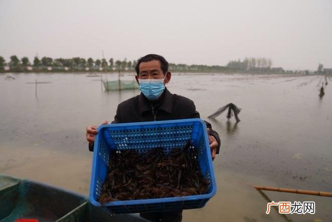 家禽养殖网 湖北农业养殖合作社