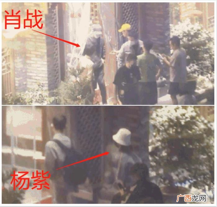 杨紫肖战关系好吗,肖战杨紫聚餐关系好