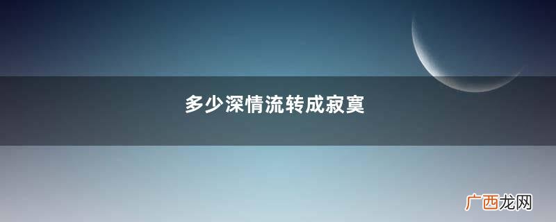 多少深情流转成寂寞