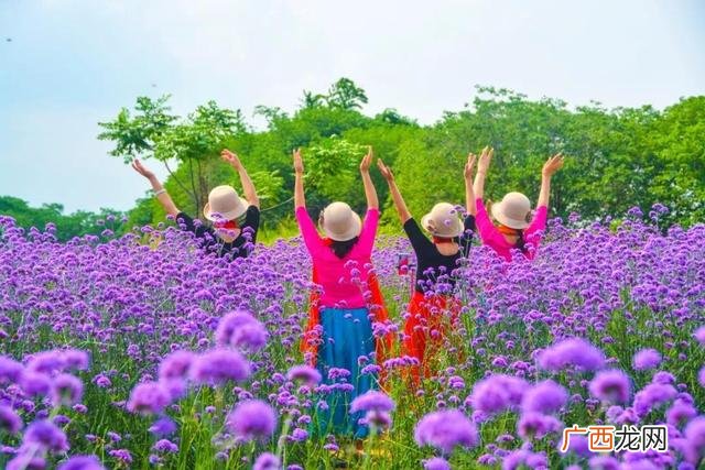 附近游乐场水上乐园 附近游乐场在哪里