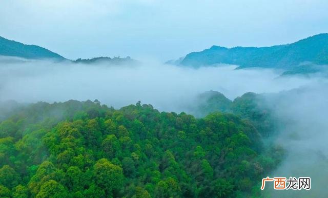 附近游乐场水上乐园 附近游乐场在哪里