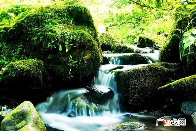 附近游乐场水上乐园 附近游乐场在哪里