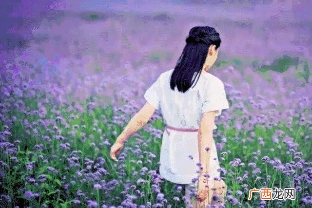 附近游乐场水上乐园 附近游乐场在哪里
