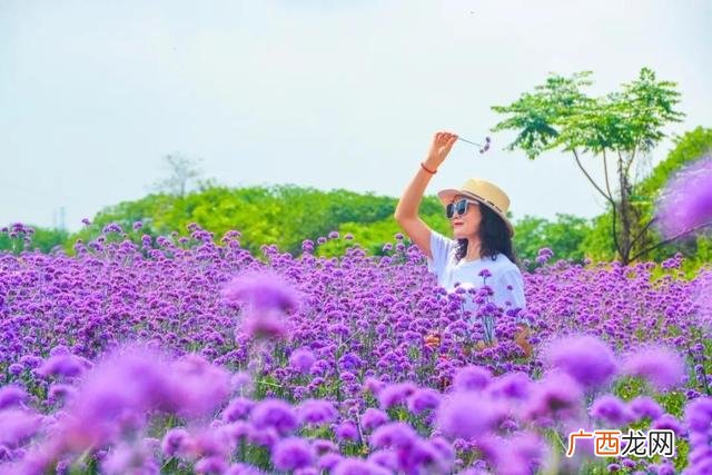 附近游乐场水上乐园 附近游乐场在哪里