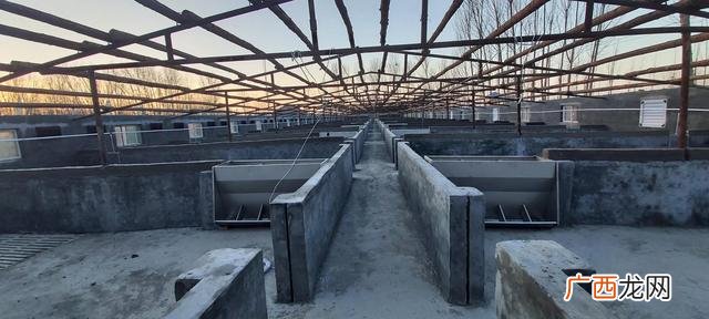 1000头养猪场投资多大 建一个养猪厂多少钱