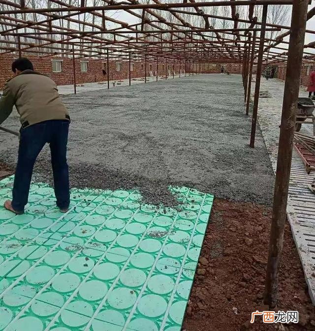 1000头养猪场投资多大 建一个养猪厂多少钱