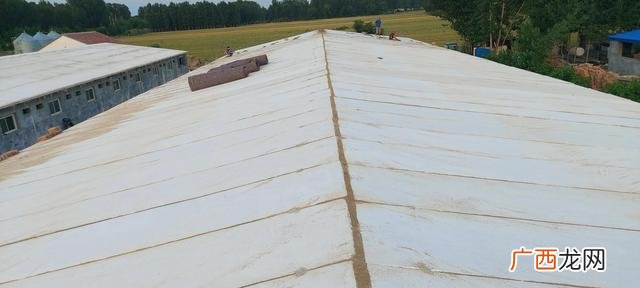 1000头养猪场投资多大 建一个养猪厂多少钱