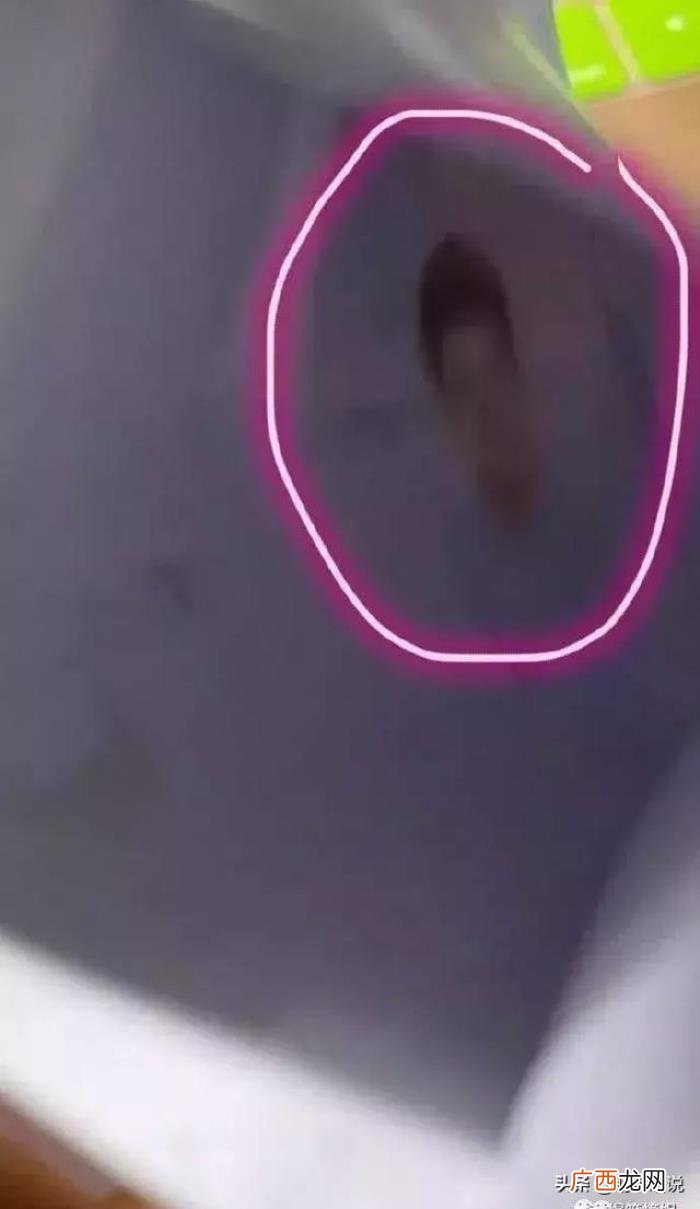 和男生聊天幽默俏皮话，尝试跟男朋友很有礼貌的聊天