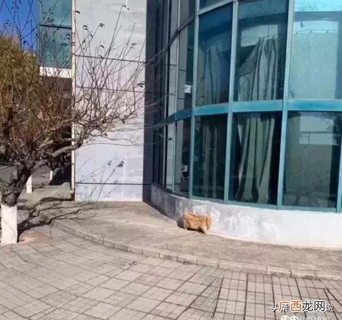 和男生聊天幽默俏皮话，尝试跟男朋友很有礼貌的聊天