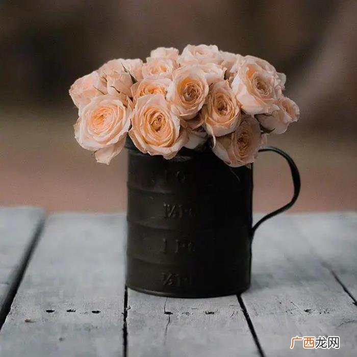 生活无奈又现实的句子 生活的无奈