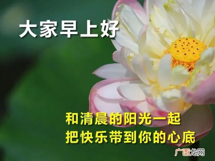 祝福表情包｜谁还记得是谁先说 谁还记得是谁先说永远的爱我