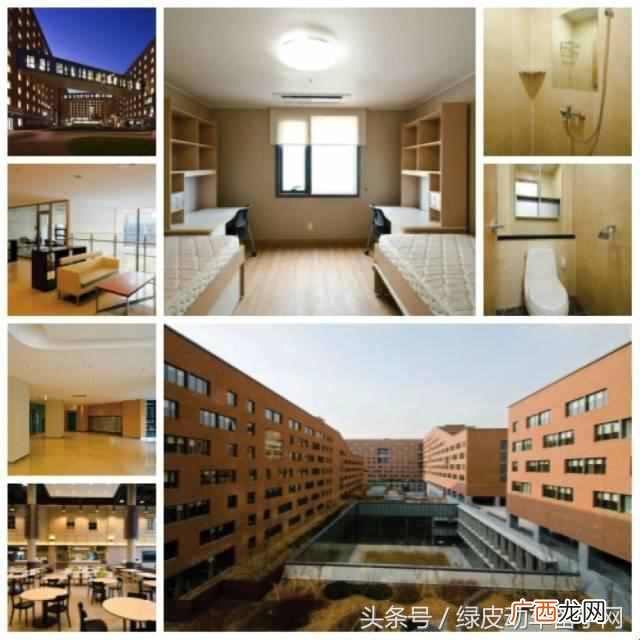 延世大学语学院教学环境怎么样（延世大学语学