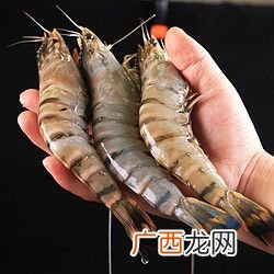 如何养殖虾菇 酒店养殖虾蛄