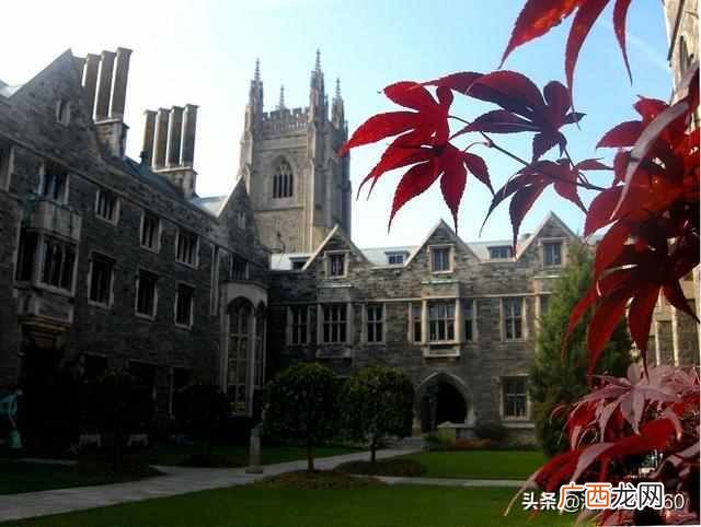 多伦多大学分校有几个（多伦多大学分校哪个比