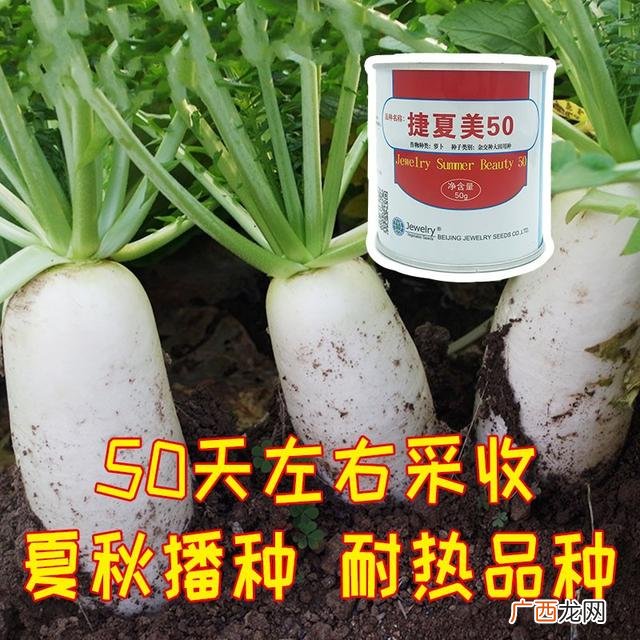 七月种植什么农作物,广东主要种植什么农作物